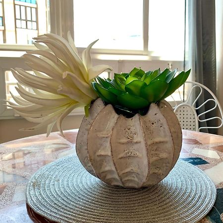 Centrally-Located, Spacious Flat At Historic Centre & Short Walk To Beach アリカンテ エクステリア 写真
